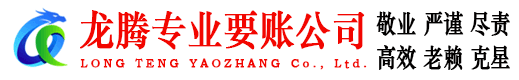 金平龙腾要账公司